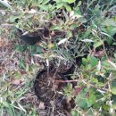 실상농장 이미지