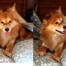 까미농장 이미지