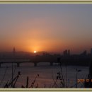 달맞이봉(공원) 이미지