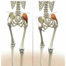 짐앤테라피 피티 이미지