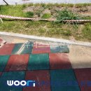 신현초등학교 이미지