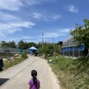 [전남 장성/광주 근교] 오디 체험 정가네농원