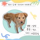 경기켄넬 이미지