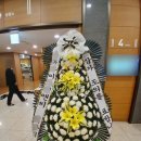 놀뫼시민장례원