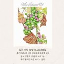 [공지] 광교 상현역 후즈 보태니컬 아트 전문화실에서 월요일 오전반 수강생 모집