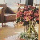 cafe Felice(카페 펠리체) 이미지