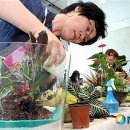 아이와 함께 생활 원예 이미지