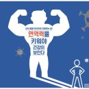 빅스짐팔판 이미지
