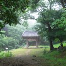 화순군 남면 유마리 母后山 維摩寺 이미지