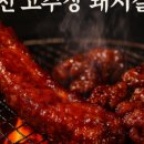 신토두부