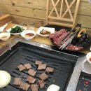 동경청