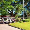 삼삼골프 이미지