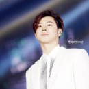 개귀여워 이미지