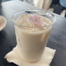 광안초등학교 | 광안리 카페 | 알더 광안리 ALDER 두 번 방문한 후기