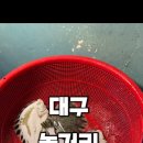 낭만물고기실내바다낚시터 | 대구데이트_대구가볼만한곳_낭만물고기 실내바다낚시터