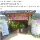 9월1일(토)/ 경남하동 북천 코스모스/메밀꽃축제/이명산등반/.♡25.000원. 조식제공.리무진운행. 이미지