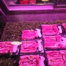 한나루로 | 인하대맛집 성심육, 1인분 250g의 기적? 가성비 폭발하는 인하대고기집 다녀온 후기 🥩