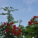 광주시립제1요양정신병원 새롬노동조합 | 광주 시립 1요양병원 어용노조 설립 의혹 노동청 수사