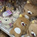 호시타코야끼꿀복이도넛츠 | 2026 도쿄