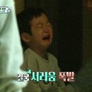 금마차 이미지