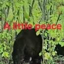 A little peace 이미지