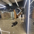 다이나짐 이미지