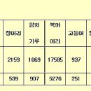 핵산이 풍부한 음식 몇가지 연어이리 정어리 뱅어포 이미지