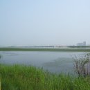 미현리 부운재 이미지