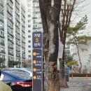 강서구치매안심센터 이미지