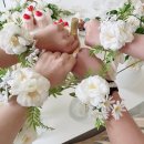 현아스튜디오