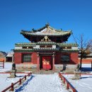 여명목장 | 몽골 개인 투어 2일차! 카라코롬 미니사막 낙타 체험 푸르공 게르