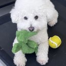 말랑말랑 이미지