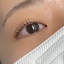 멜리니즈 이미지
