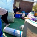 페릿 | [페럿/페릿] 11월봉사후기