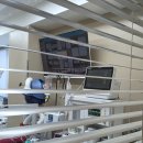 오복동물치과병원 이미지