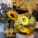 성호식품 이미지