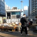 강서구-3 이미지