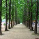 보보스캇 캠핑장 이미지