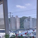 소머리국밥에반하다 | 경기 광주하면? 최미자 소머리 국밥이지~