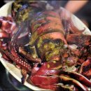 해적캡틴 이미지