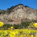 고은관광농원 휴양콘도미니엄 이미지