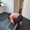 포유 | 6개월 경험한 [웰니스포유 청담] 찐 후기💥