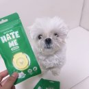 동방 어린이집 | 진드기 걱정 줄인 강아지산책 해충방지 필수템, [바잇미 헤잇미 밴드] 솔직후기