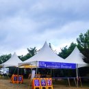 (주)월드팜코리아 | 강원도 고성 라벤더축제 하늬라벤더팜 6월 꽃축제 가볼만한곳