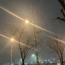 첫눈에안경 | 2025.12.04~07 첫눈이 오기만을 기다린사람...