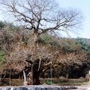 필문대로 이미지