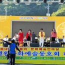 군민의날 공연 이미지