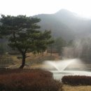 엘리시안 강촌 골프연습장 이미지