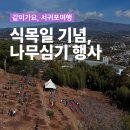 대정읍 하모3리 사무소 주차장 | 제81회 식목일 기념, 나무심기 행사 후기! 삼매봉공원 &amp; 내일 나무 무료 분양 꿀팁