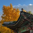 강변역(동서울터미널) (옥외8) | 광진구 강변역 동서울터미널 맛집 화덕피자 도치피자